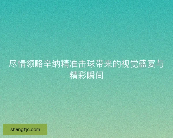 尽情领略辛纳精准击球带来的视觉盛宴与精彩瞬间