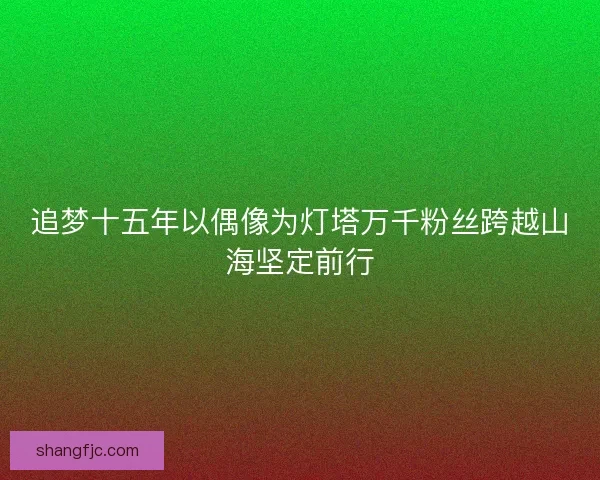 追梦十五年以偶像为灯塔万千粉丝跨越山海坚定前行